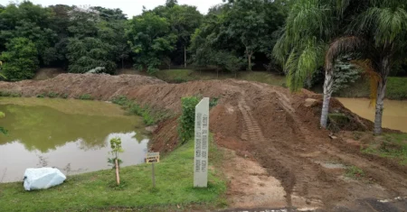 Lagoa do Parque do Jambeiro, em Campinas, passa por desassoreamento