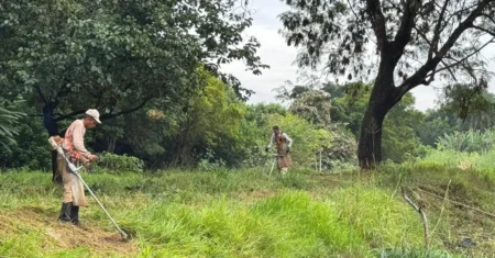 Áreas verdes do Parque Via Norte recebem roçagem e manutenção