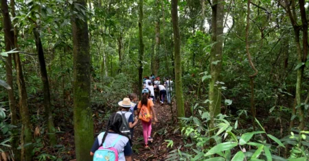 Semana do Meio Ambiente na Mata de Santa Genebra terá caminhadas, visitas guiadas e atividades gratuitas