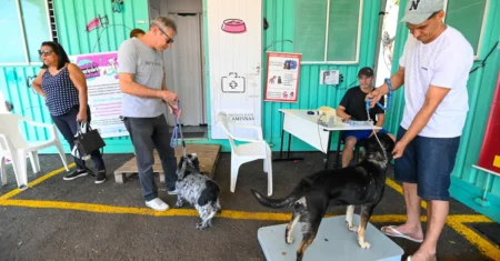 Consultório Veterinário Móvel inicia atendimento na Vila Esperança nesta segunda, 25 de maio