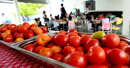 EducaTV estreia série “O Mundo dos Sabores” para guiar espectadores sobre alimentação saudável