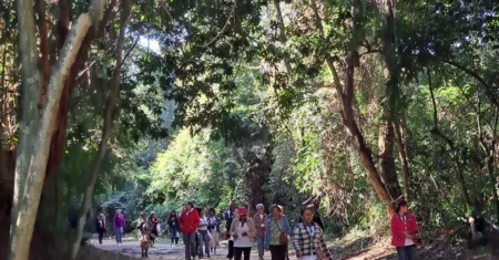 Caminhada e aula de yoga em meio à natureza marcam programação da Semeia 2026 em Joaquim Egídio
