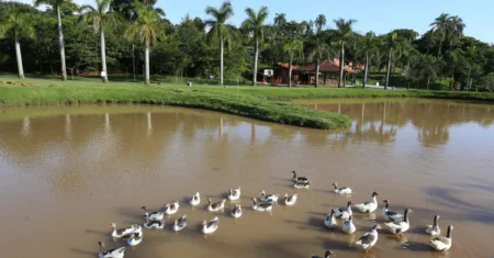 Parque das Águas recebe ação educativa sobre febre maculosa e arboviroses neste domingo, 31