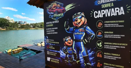 Lagoa do Taquaral terá nova atração com carrinhos flutuantes a partir deste sábado, 30 de maio
