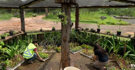 Semeia 2026 promove ações de educação ambiental, saúde e preservação nesta segunda-feira