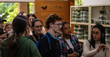 ARIE Mata de Santa Genebra recebe cerca de 700 visitantes durante a Semana do Meio Ambiente
