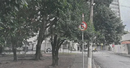 Departamento de Parques e Jardins poda árvores em praça da Vila Estanislau