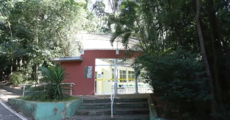 EGDS está com inscrições abertas para o círculo reflexivo sobre racismo ambiental