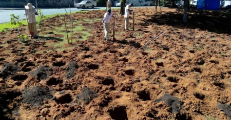 Campinas chega à 27ª microfloresta urbana e soma mais de 36 mil mudas plantadas