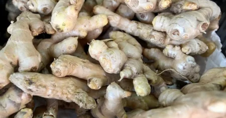 Procon Campinas divulga pesquisa de preços de produtos típicos de festa junina