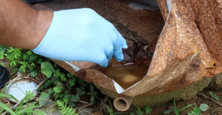 Alerta Arboviroses: Campinas tem 32 bairros com alto risco de transmissão de dengue
