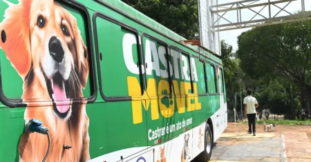 Campinas abre 1,5 mil vagas para castração e microchipagem de cães e gatos na Vila Bela Vista
