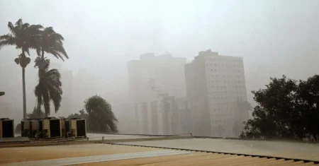 Campinas registra duas quedas de árvores por causa das chuvas