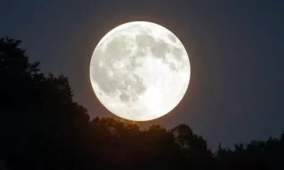 Super Lua