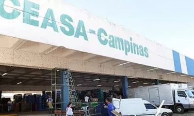 Ceasa-Campinas