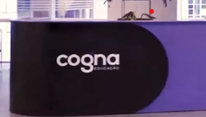 Cogna