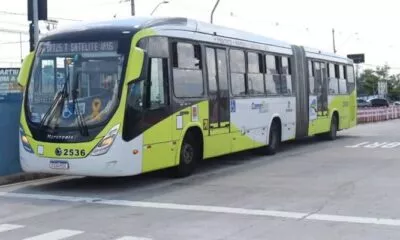 linhas de ônibus